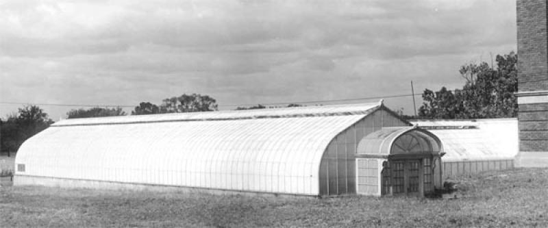 Greenhouse at Botany and Zoology in 1915