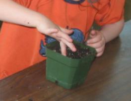 Child planting a seed