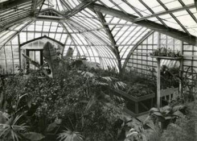Interior of 1900 Botanical Hall greenhouse