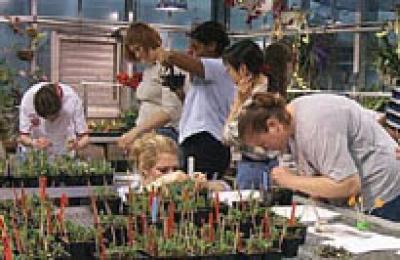 Lab Class in greenhouse Lab Class in greenhouse