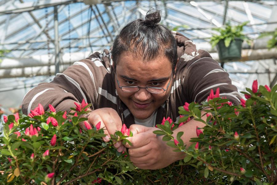 Person working with plants