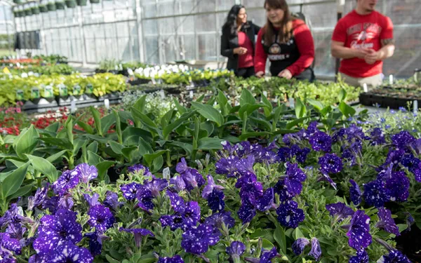class in greenhouse